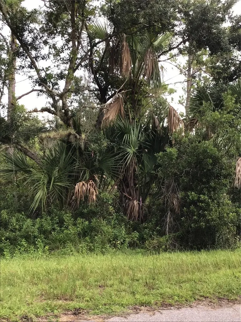 14202,M 14210,14218,14226 Hydrangea Avenue Port Charlotte FL 33953