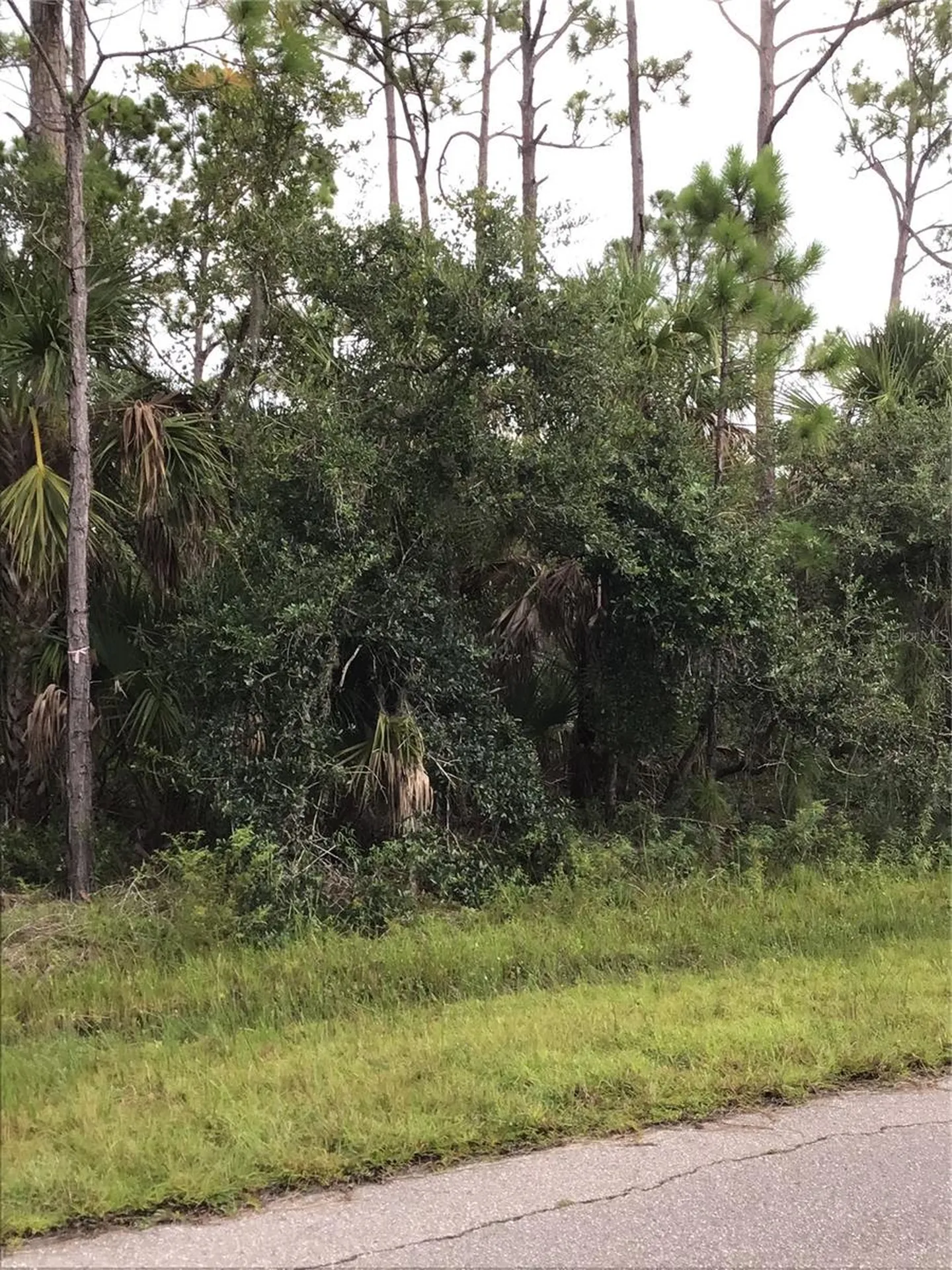 14202,M 14210,14218,14226 Hydrangea Avenue Port Charlotte FL 33953