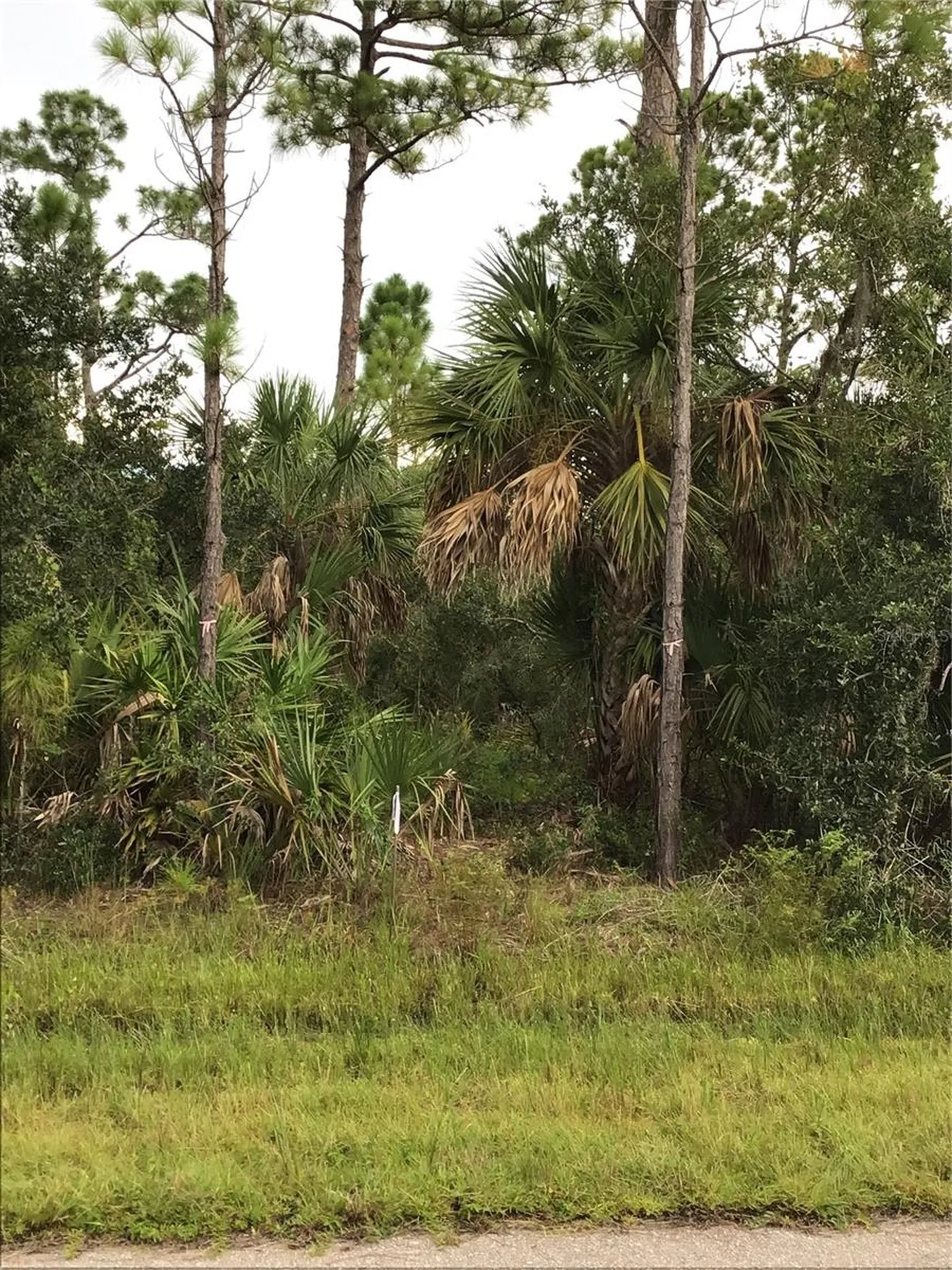 14202,M 14210,14218,14226 Hydrangea Avenue Port Charlotte FL 33953
