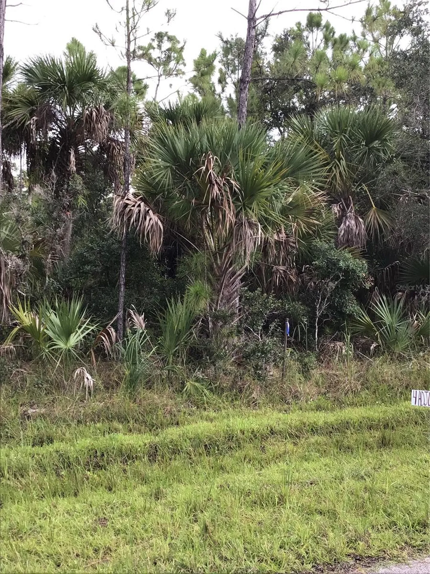 14202,M 14210,14218,14226 Hydrangea Avenue Port Charlotte FL 33953