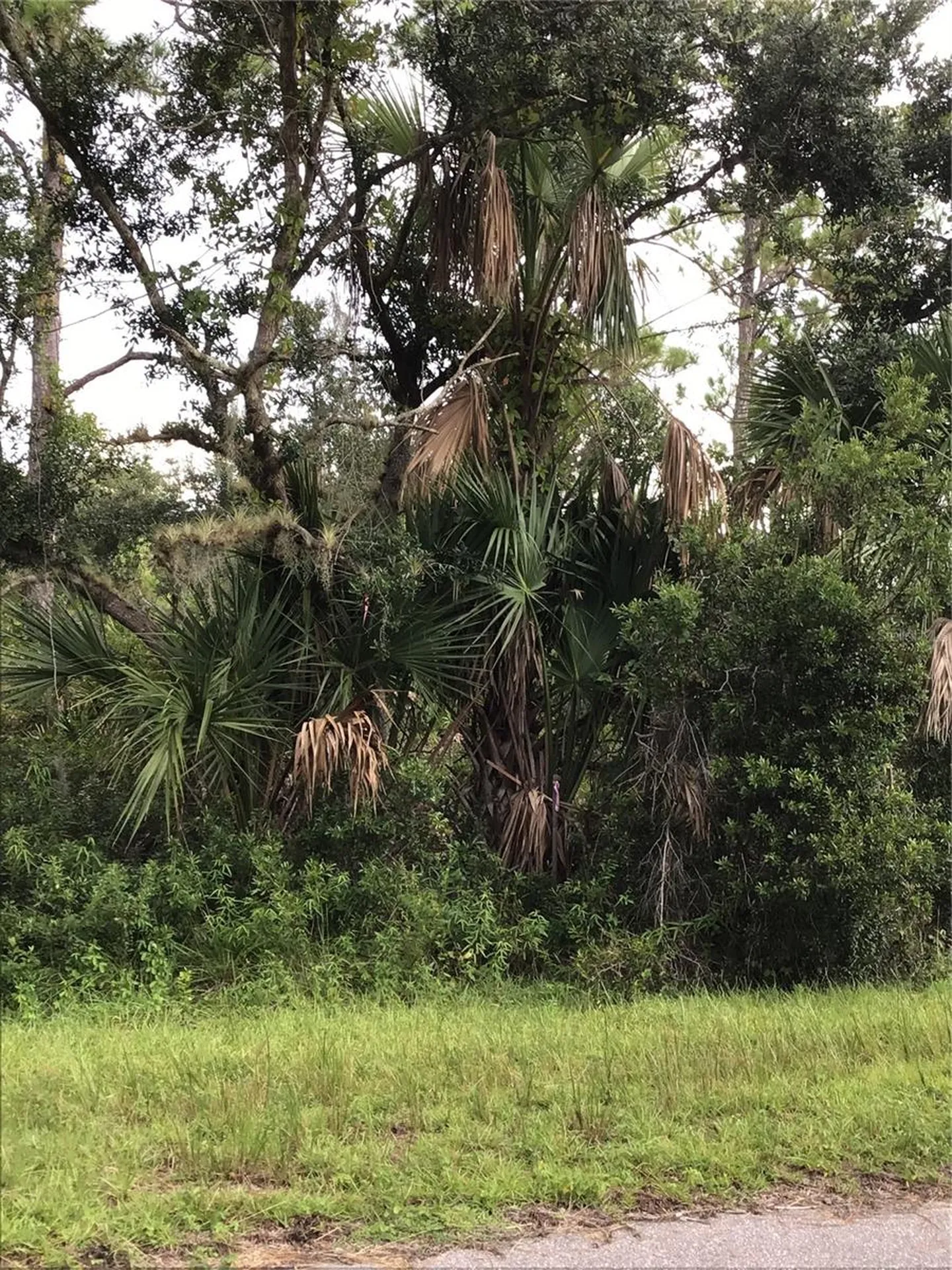 14202,M 14210,14218,14226 Hydrangea Avenue Port Charlotte FL 33953