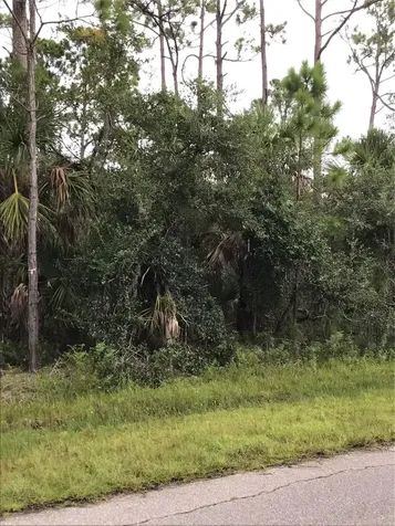 14202,M 14210,14218,14226 Hydrangea Avenue Port Charlotte FL 33953