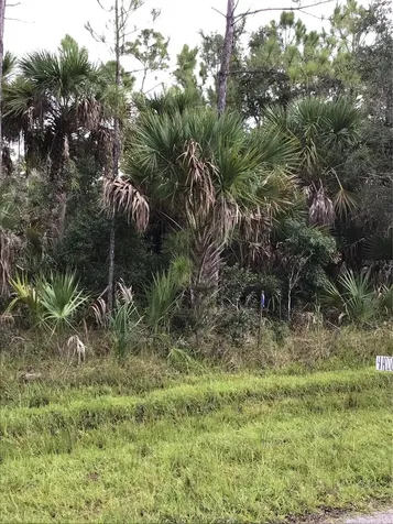 14202,M 14210,14218,14226 Hydrangea Avenue Port Charlotte FL 33953