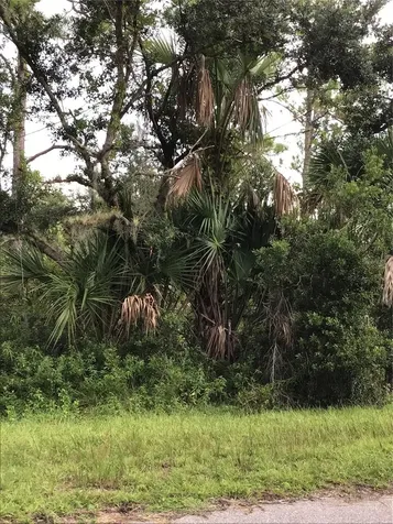 14202,M 14210,14218,14226 Hydrangea Avenue Port Charlotte FL 33953
