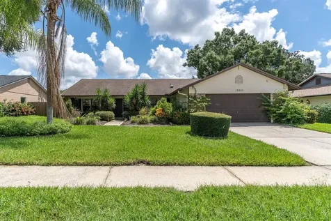 13603 Cozy Place Tampa FL 33625