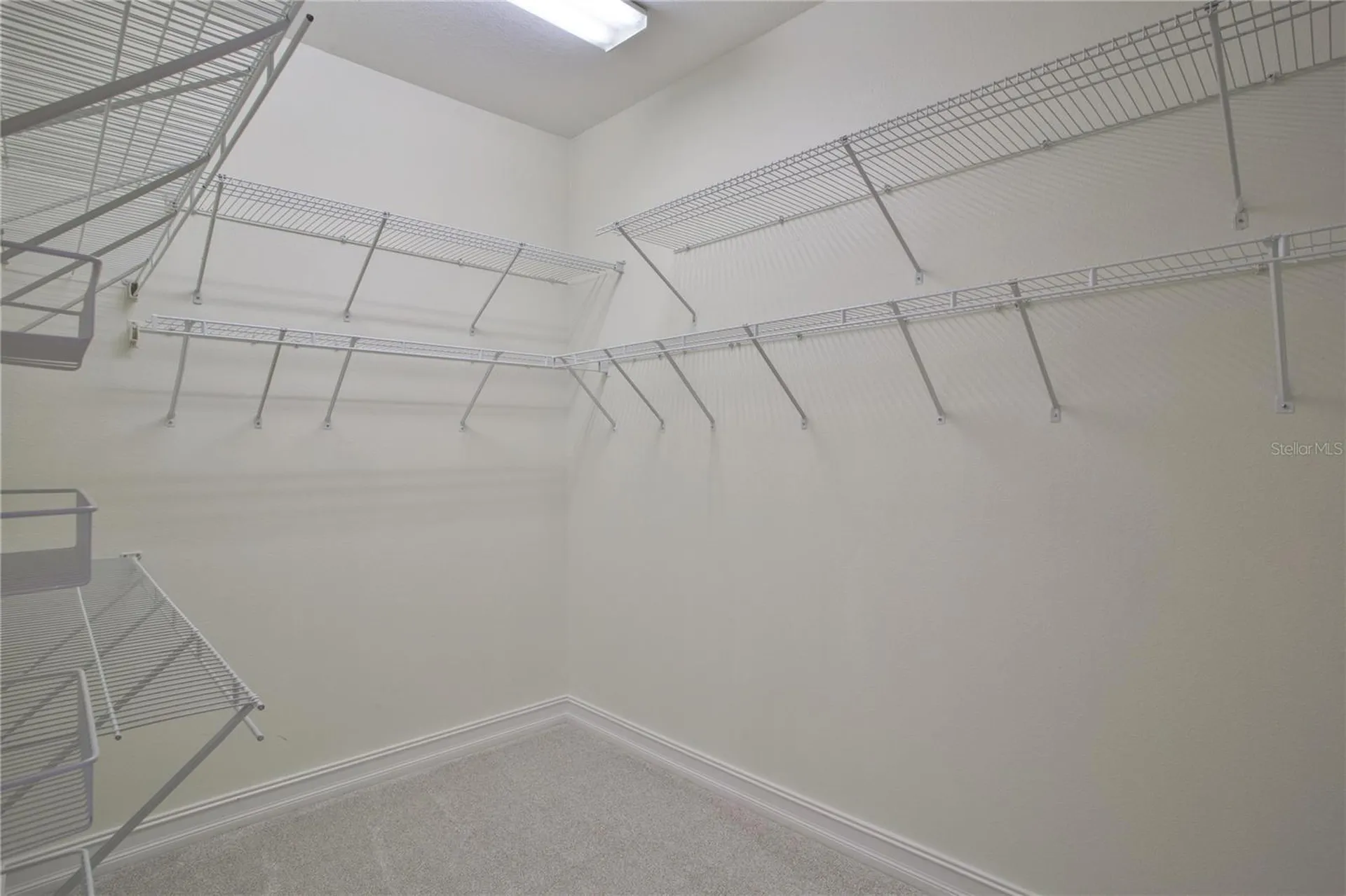 1344 Ribolla Drive Palm Harbor FL 34683