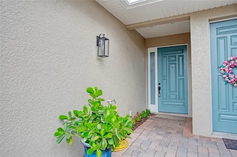 1344 Ribolla Drive Palm Harbor FL 34683