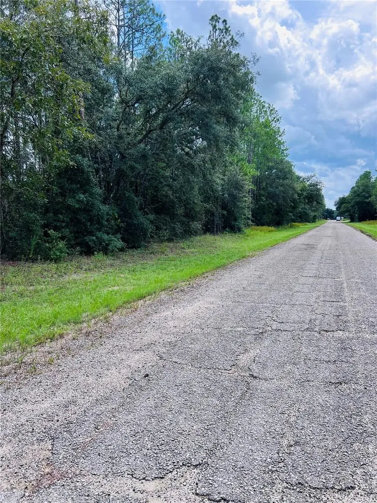 8681 N Wallingford Avenue Citrus Springs FL 34434