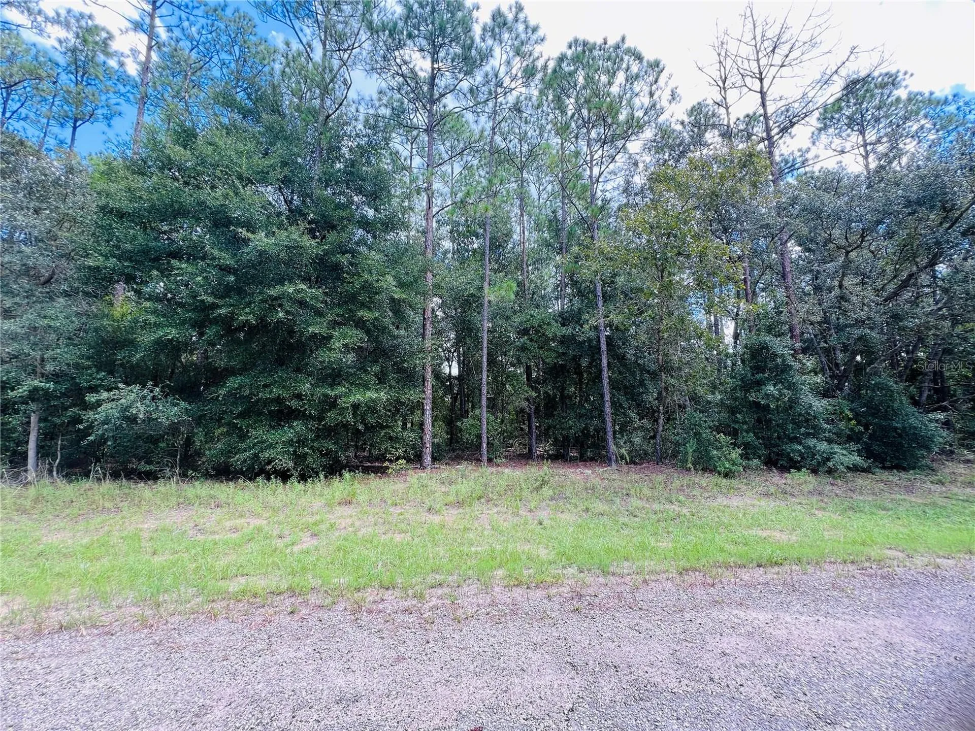 8681 N Wallingford Avenue Citrus Springs FL 34434