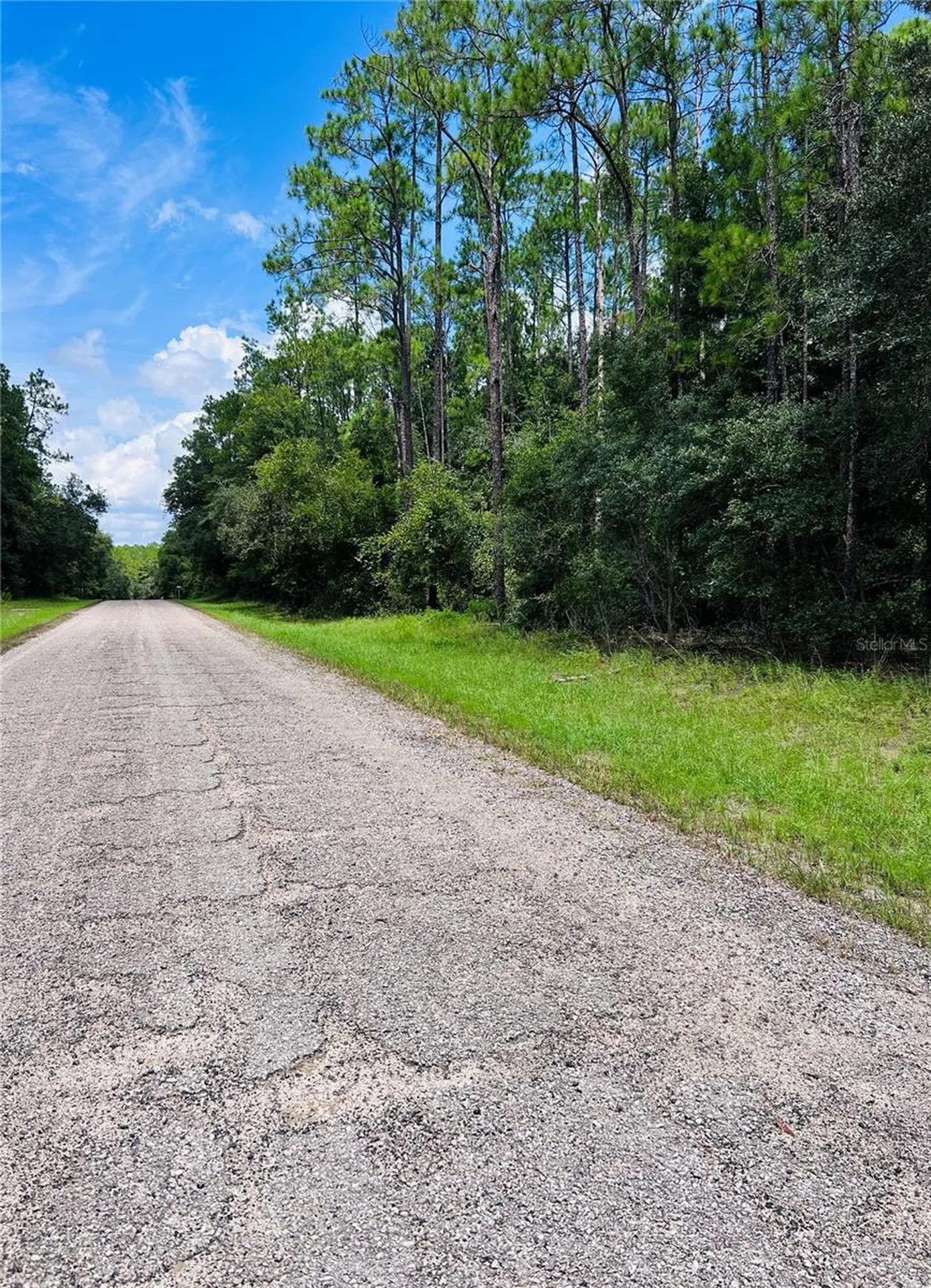 8681 N Wallingford Avenue Citrus Springs FL 34434