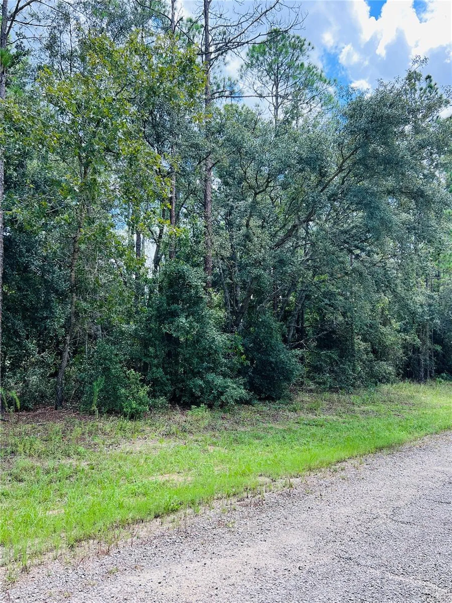 8681 N Wallingford Avenue Citrus Springs FL 34434