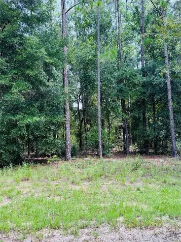 8681 N Wallingford Avenue Citrus Springs FL 34434