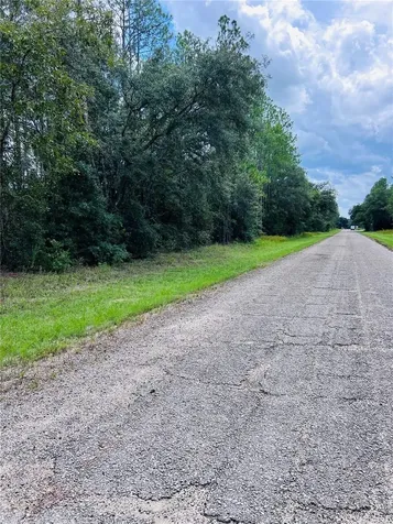 8681 N Wallingford Avenue Citrus Springs FL 34434