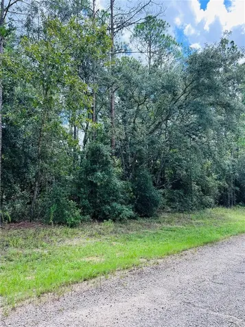 8681 N Wallingford Avenue Citrus Springs FL 34434