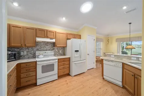 1828 Treadwell Terrace The Villages FL 32162