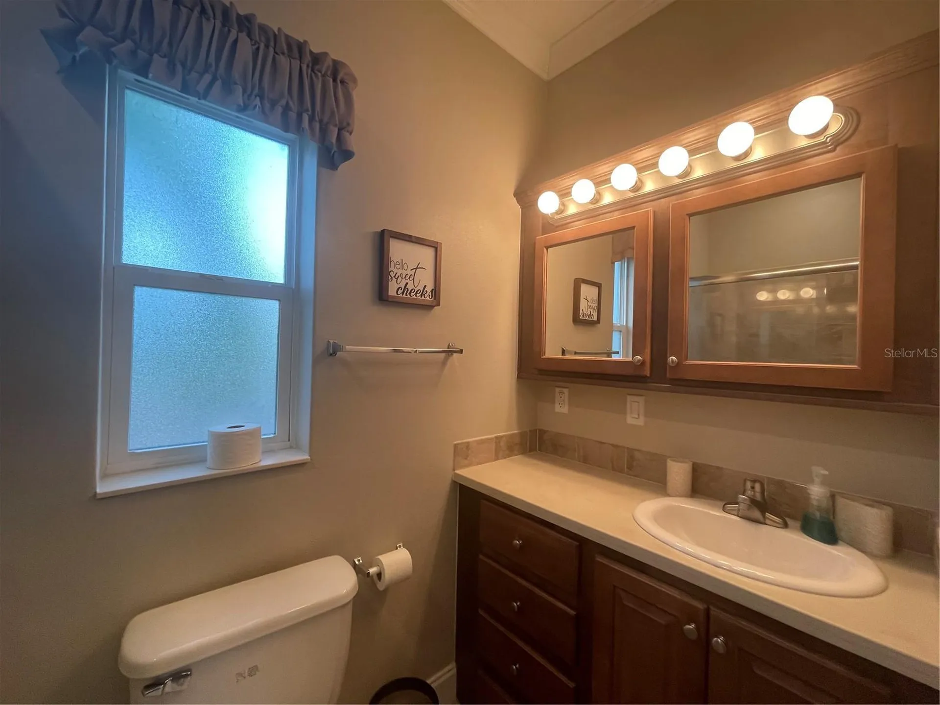 6942 Amanda Vista Circle Land O Lakes FL 34637