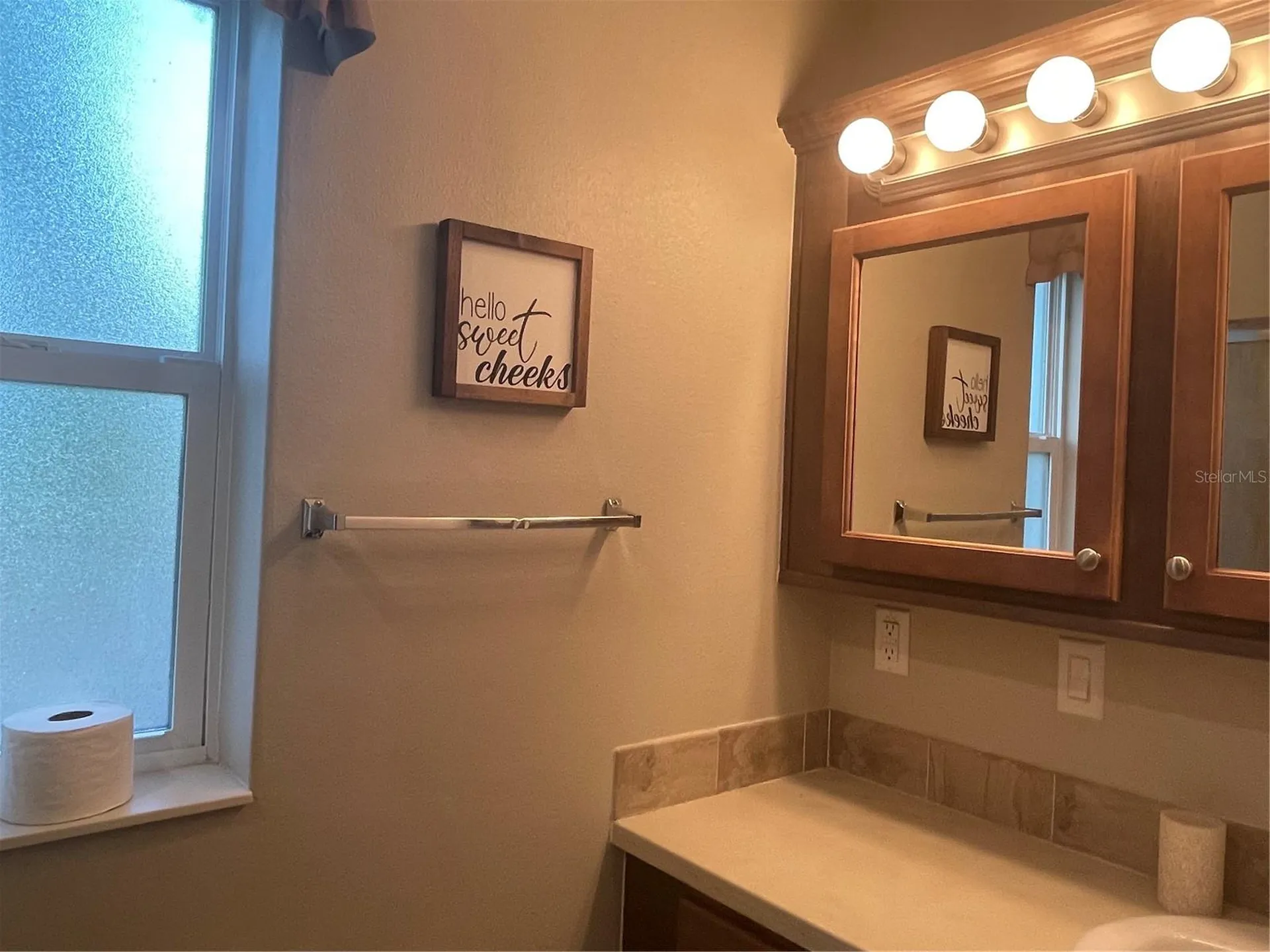 6942 Amanda Vista Circle Land O Lakes FL 34637