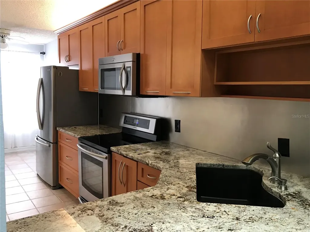 10425 La Mirage Court Tampa FL 33615