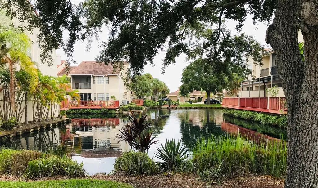 10425 La Mirage Court Tampa FL 33615