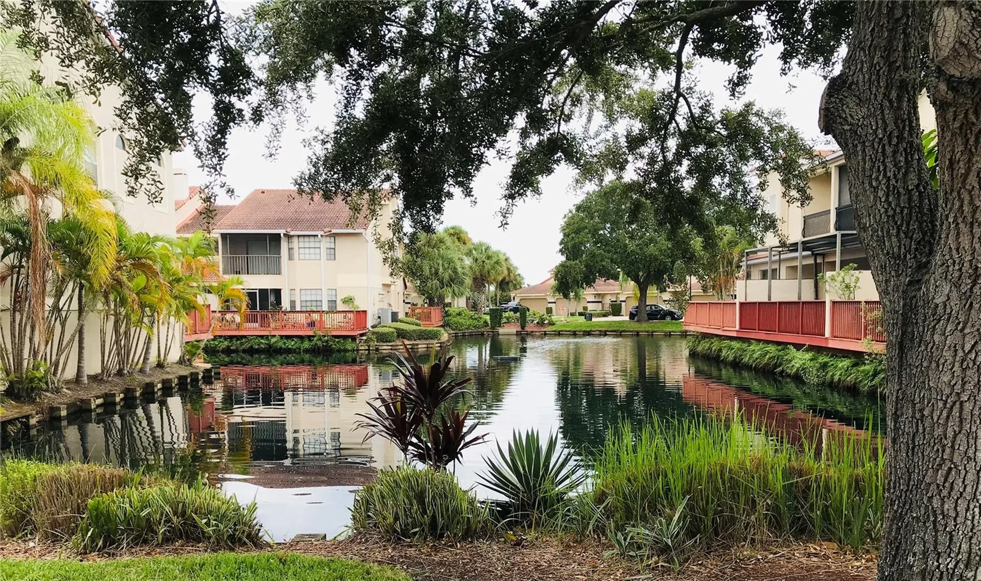 10425 La Mirage Court Tampa FL 33615