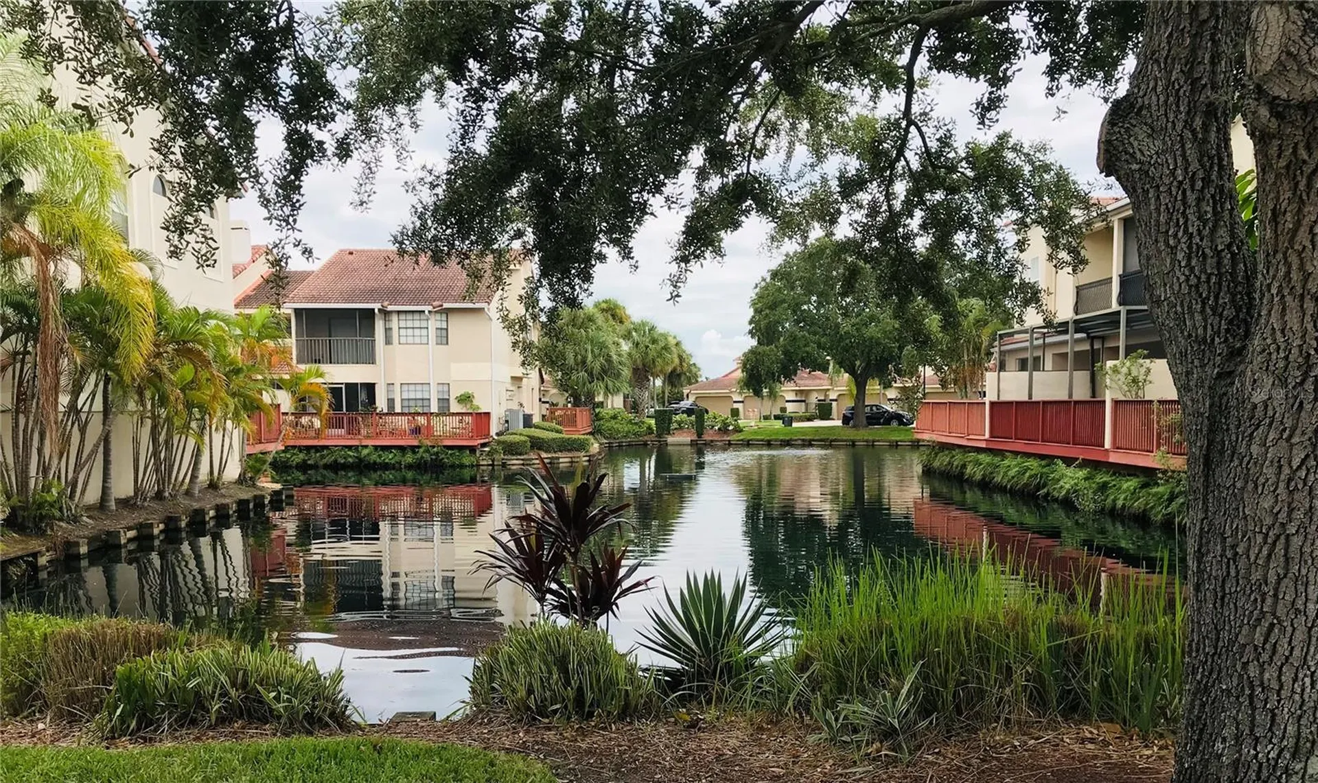 10425 La Mirage Court Tampa FL 33615