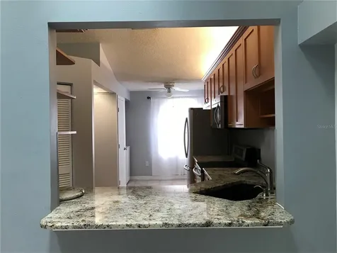 10425 La Mirage Court Tampa FL 33615