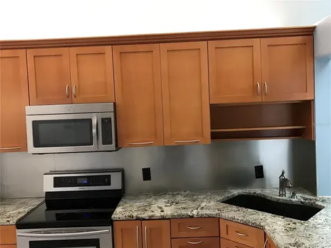 10425 La Mirage Court Tampa FL 33615