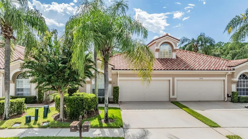3894 Timber Ridge Court Palm Harbor FL 34685