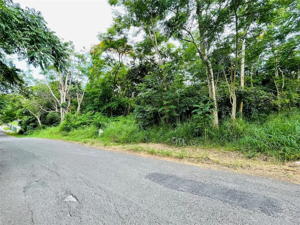 Carr 100 Km 5.2 Bo. Miradero Cabo Rojo PR 00623
