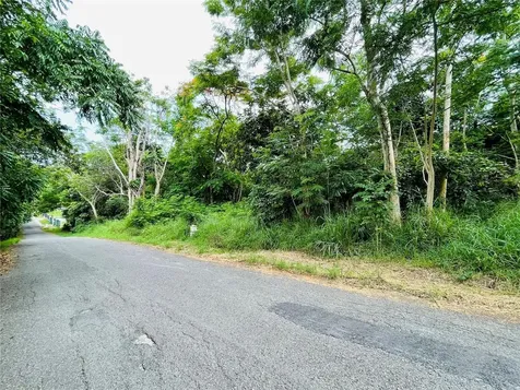 Carr 100 Km 5.2 Bo. Miradero Cabo Rojo PR 00623