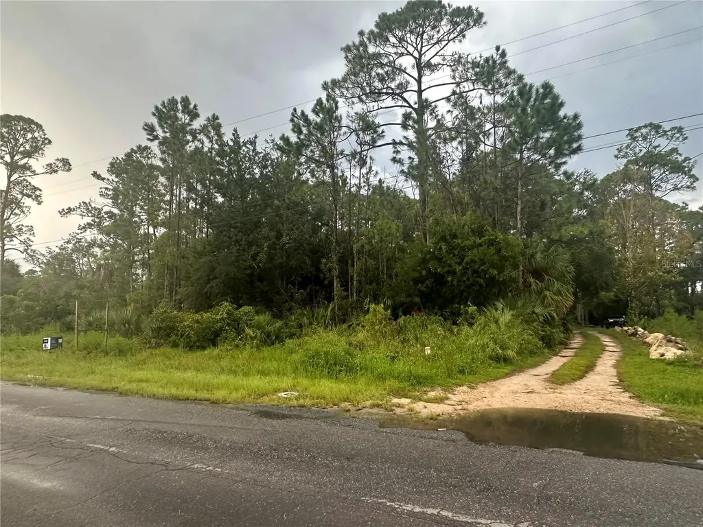 805 1st Avenue SE Steinhatchee FL 32359