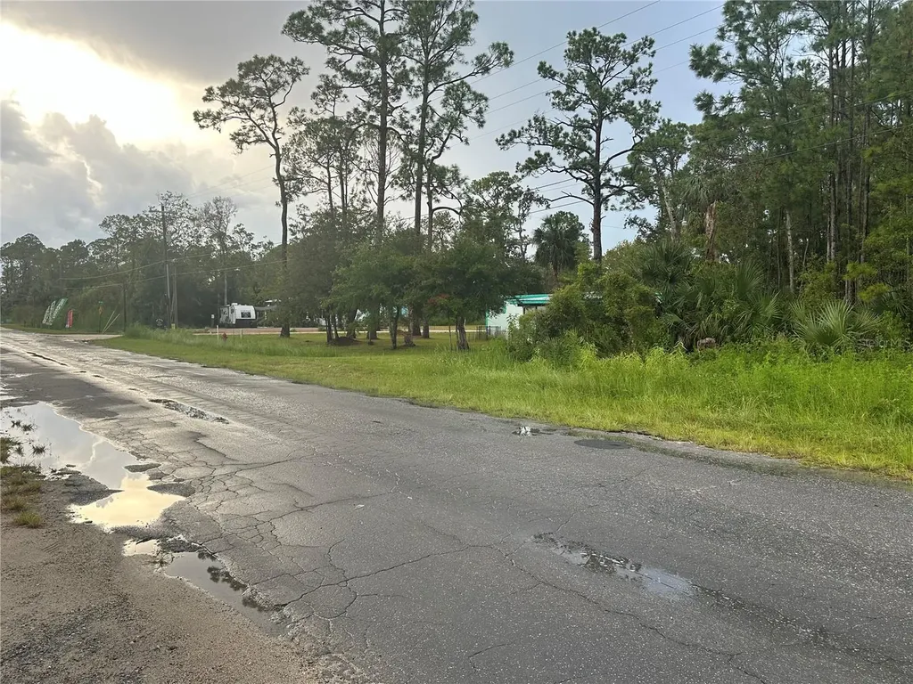 805 1st Avenue SE Steinhatchee FL 32359