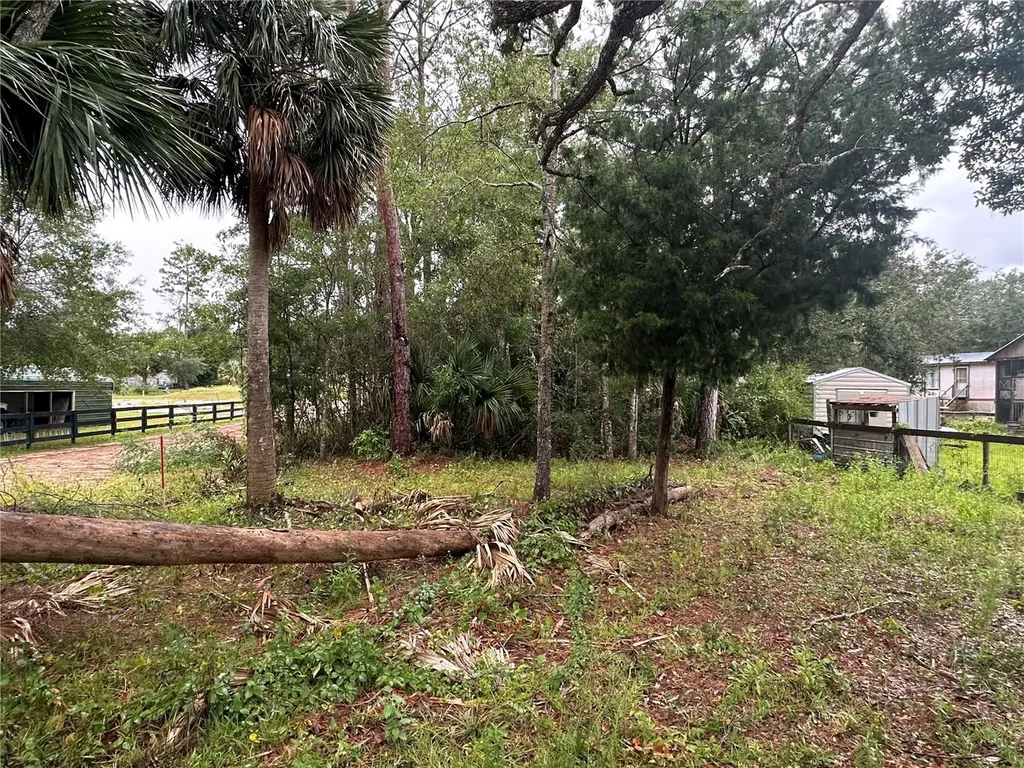 9 7th Street NE Steinhatchee FL 32359