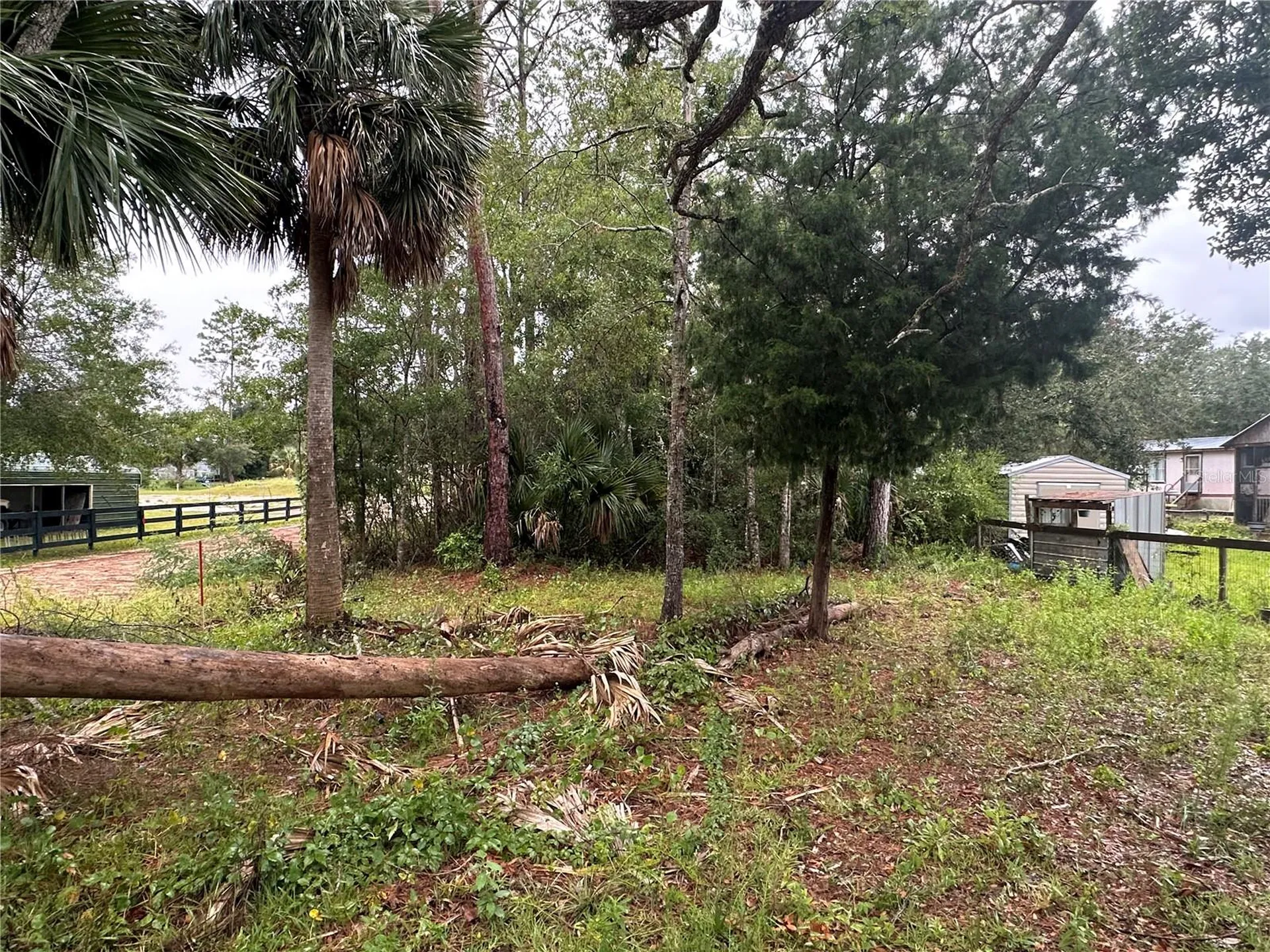 9 7th Street NE Steinhatchee FL 32359