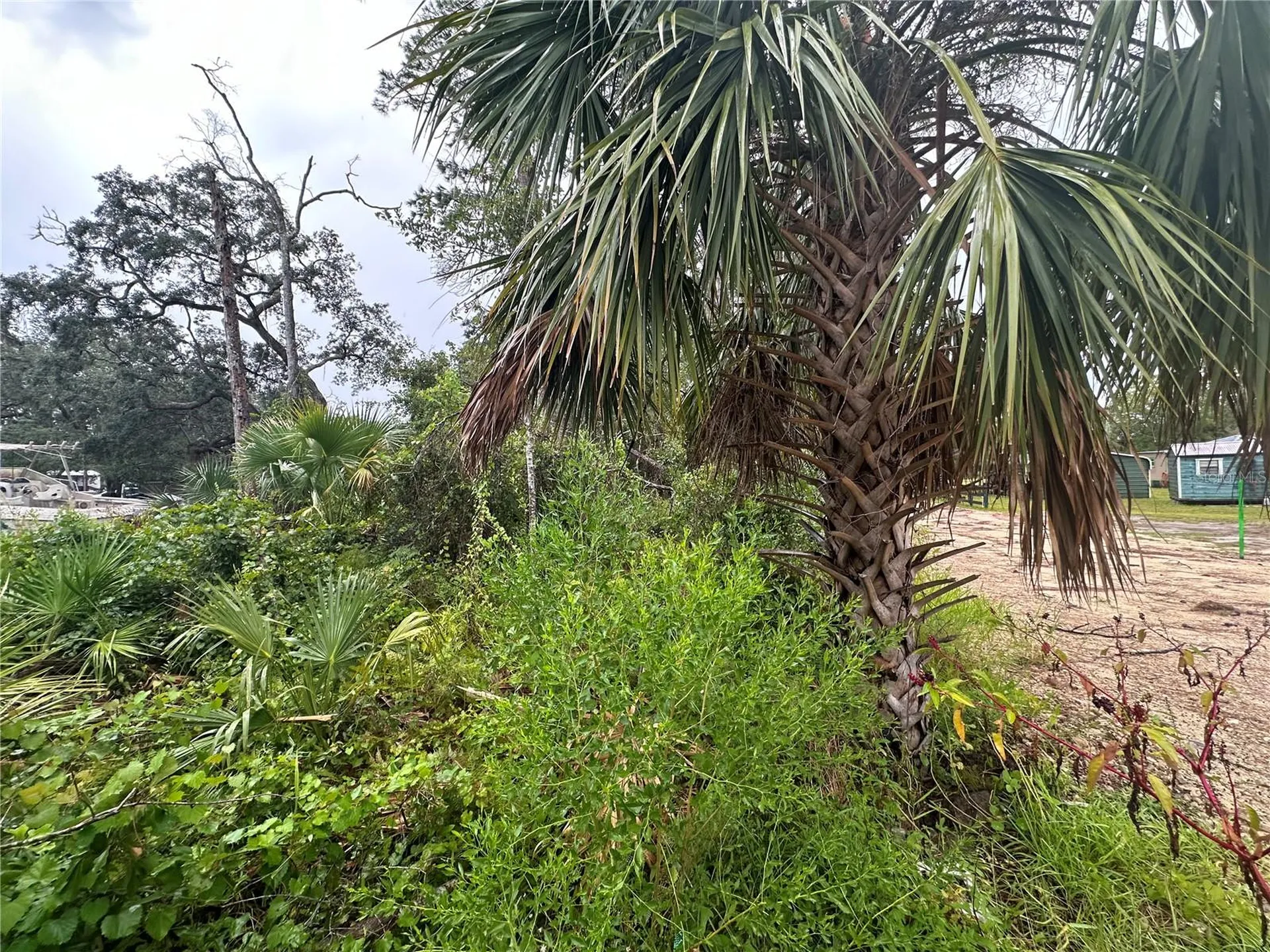 9 7th Street NE Steinhatchee FL 32359