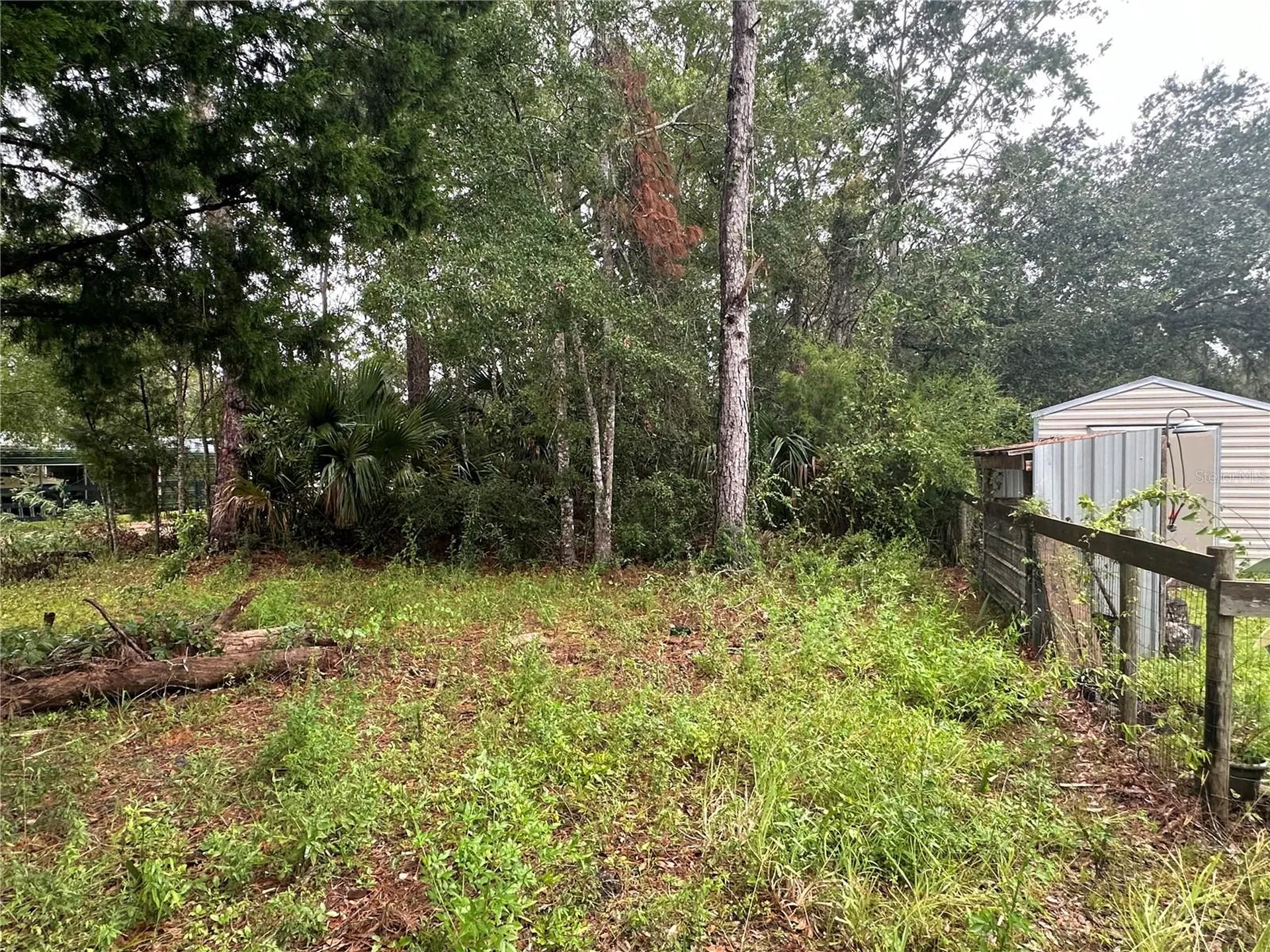 9 7th Street NE Steinhatchee FL 32359