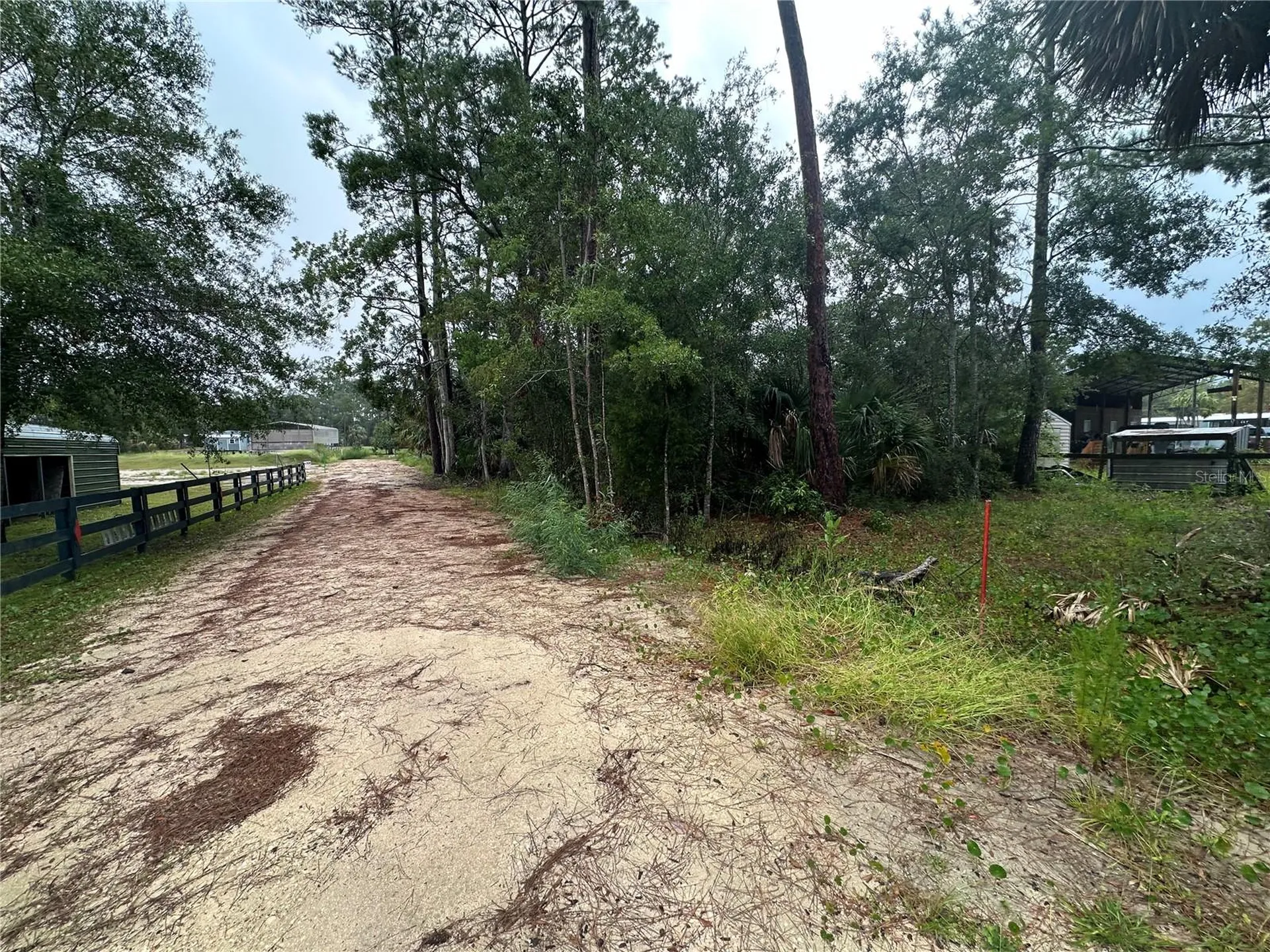 9 7th Street NE Steinhatchee FL 32359