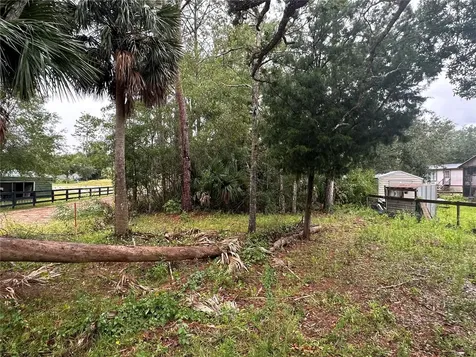 9 7th Street NE Steinhatchee FL 32359