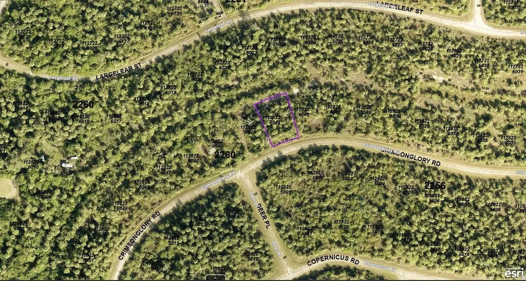 1128226043 Crimsonglory Road North Port FL 34288