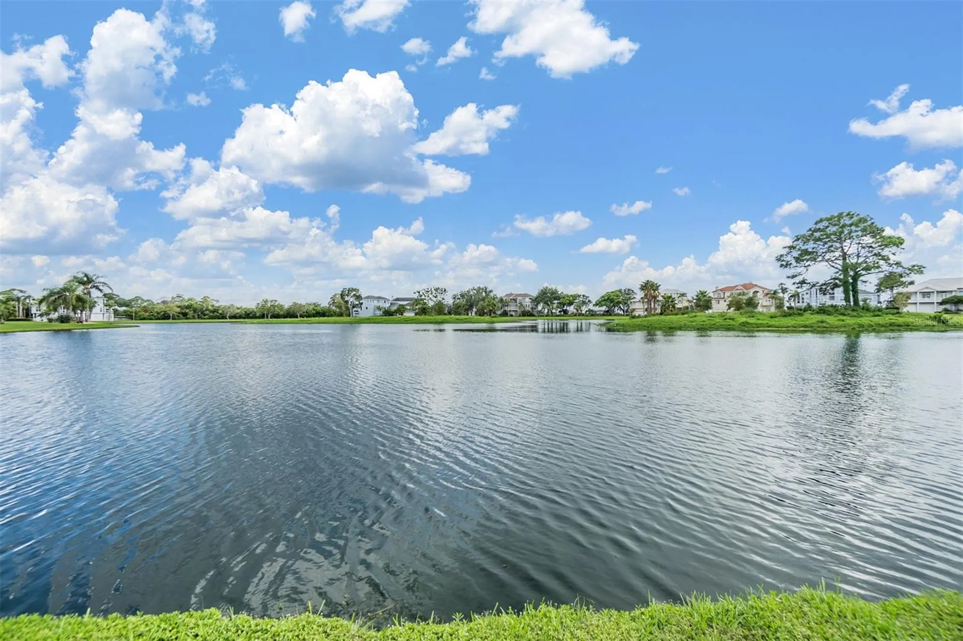 2118 Harbour Watch Drive Tarpon Springs FL 34689