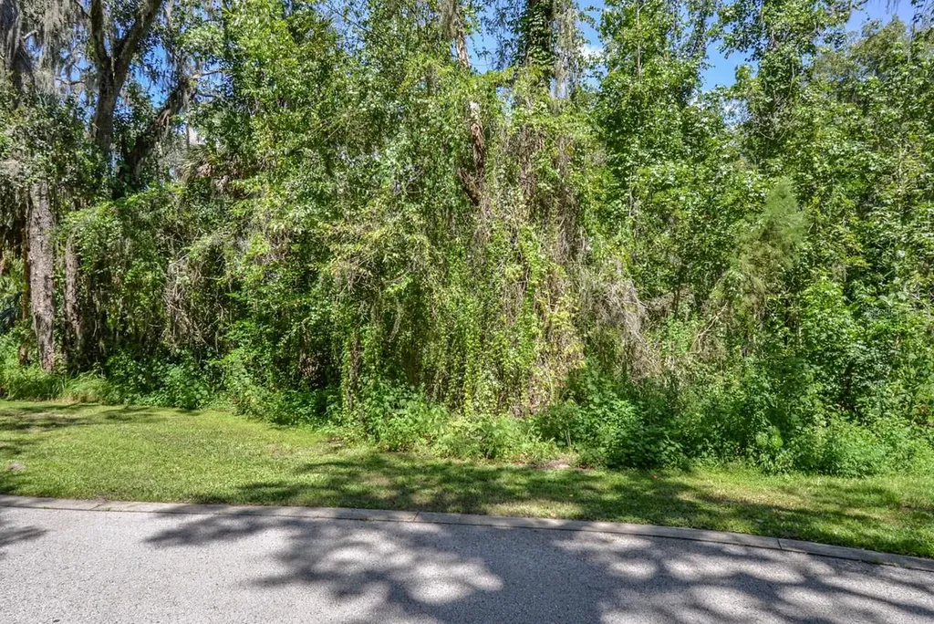 4808 Rambling River Road Brandon FL 33511