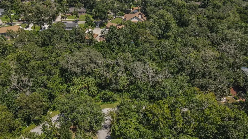4808 Rambling River Road Brandon FL 33511