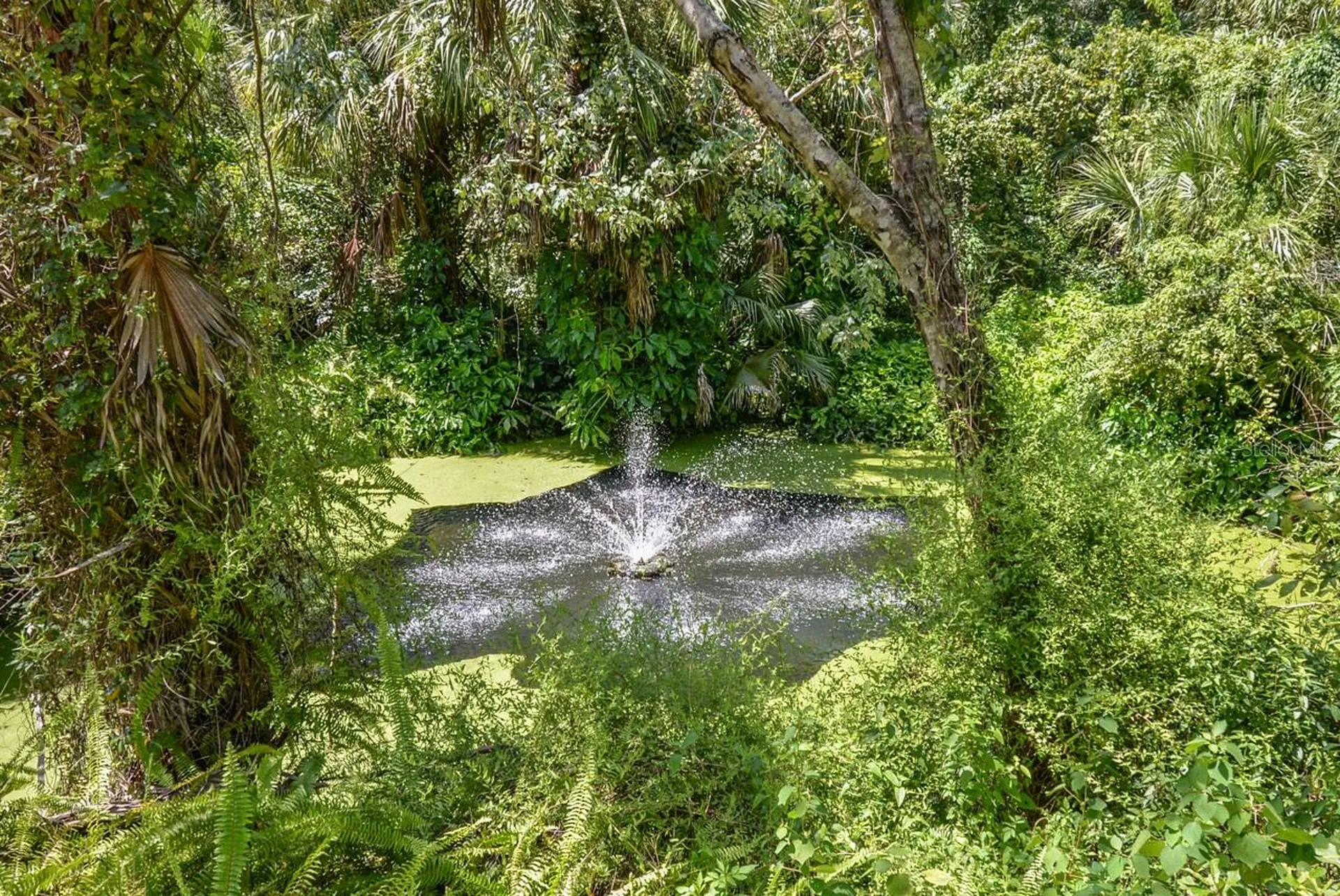 4808 Rambling River Road Brandon FL 33511