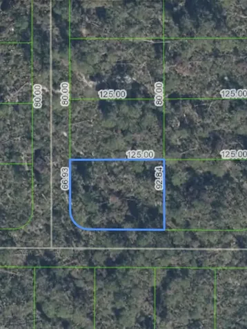 10662 Deep Hazard Drive Sebring FL 33875