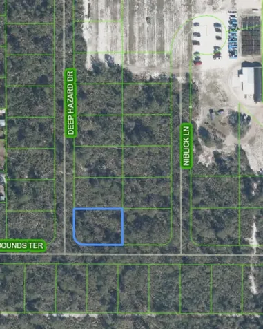 10662 Deep Hazard Drive Sebring FL 33875