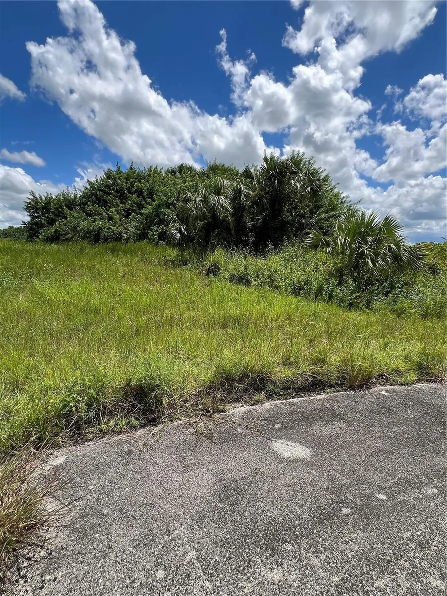 405 Ashcroft Court Labelle FL 33935