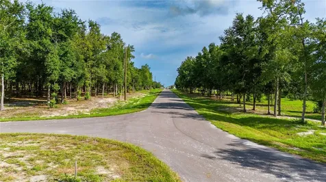 14770 Crimson Oaks Trail Dade City FL 33525
