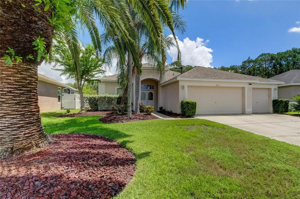 14515 Corkwood Drive Tampa FL 33626