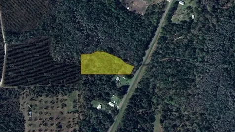 CR-1475 Gainesville FL 32609