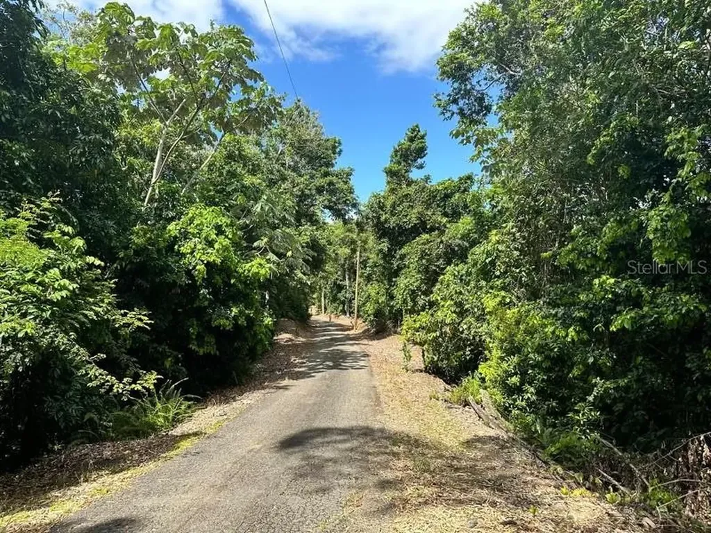 Road Pr-140 Km 34.2 Barrio Don Alonso Utuado PR 00641